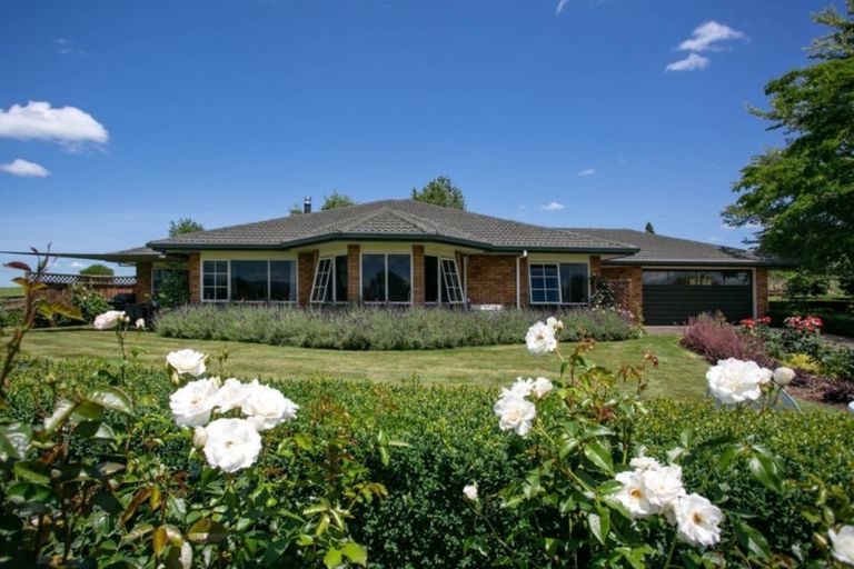 Photo of property in 128 Matai Road, Matamata, 3472