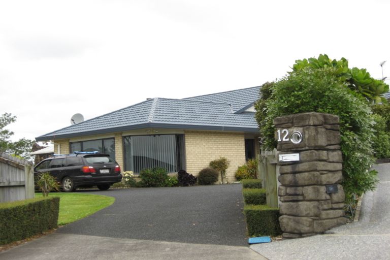 Photo of property in 12 Jacaranda Court, Pukekohe, 2120