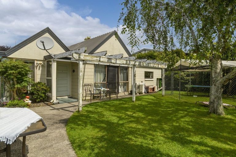Photo of property in 14b Alexander Street, Tauranga South, Tauranga, 3112