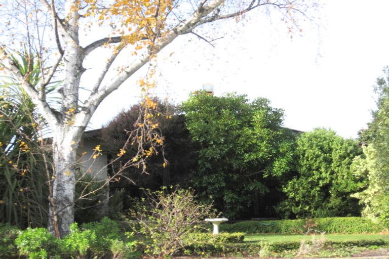 Photo of property in 14 Surrey Street, Taradale, Napier, 4112