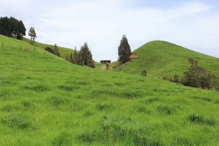 Photo of property in 72 Cogswell Road, Raglan, 3295