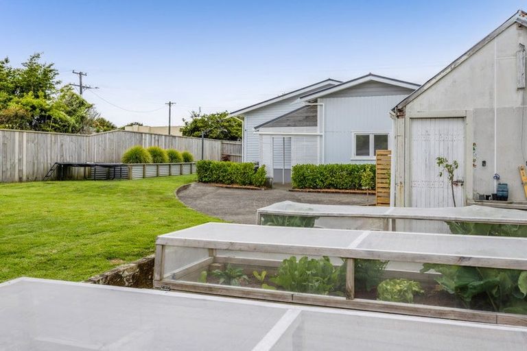 Photo of property in 141 Miranda Street, Stratford, 4332