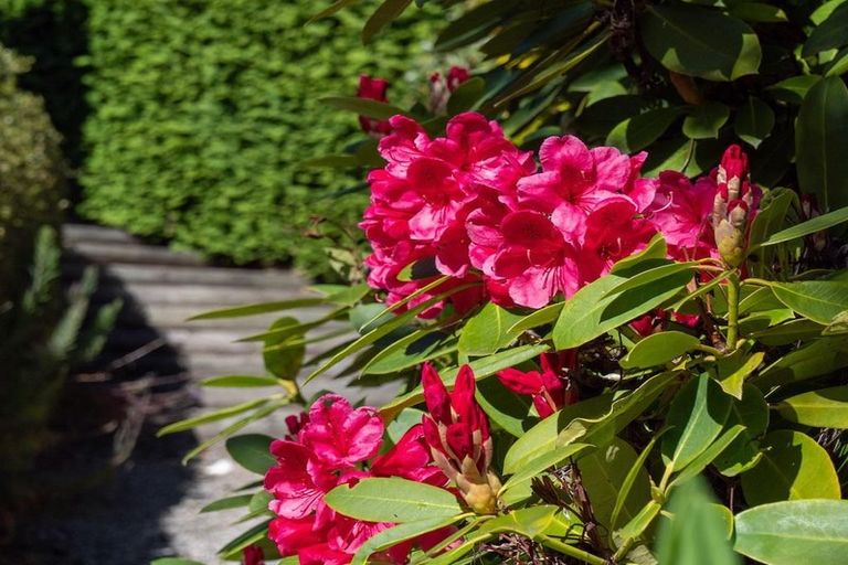 Photo of property in 611 Peninsula Road, Kelvin Heights, Queenstown, 9300