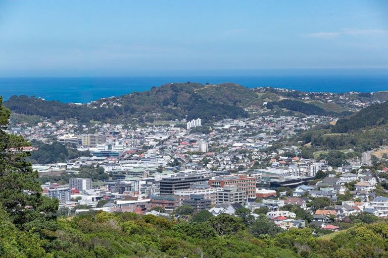 Photo of property in 12 Middlesex Place, Northland, Wellington, 6012