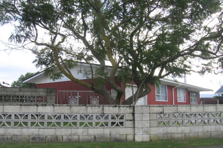 Photo of property in 18 Argyll Crescent, Tamatea, Napier, 4112