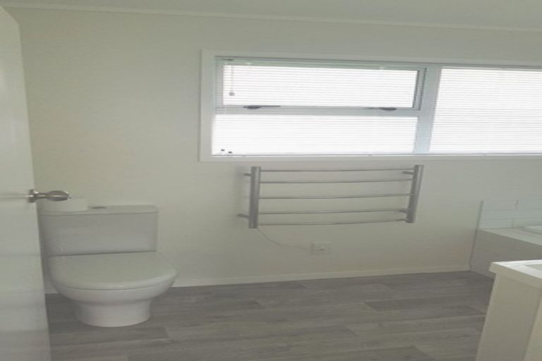 Photo of property in 20 Stanaway Street, Hillcrest, Auckland, 0627