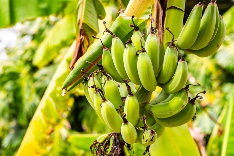 Photo of property in 21 Valley View Road, Otaika, Whangarei, 0170