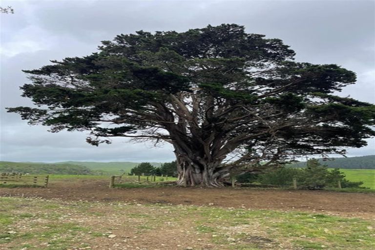 Photo of property in 429 Te Akau South Road, Te Akau, Ngaruawahia, 3793