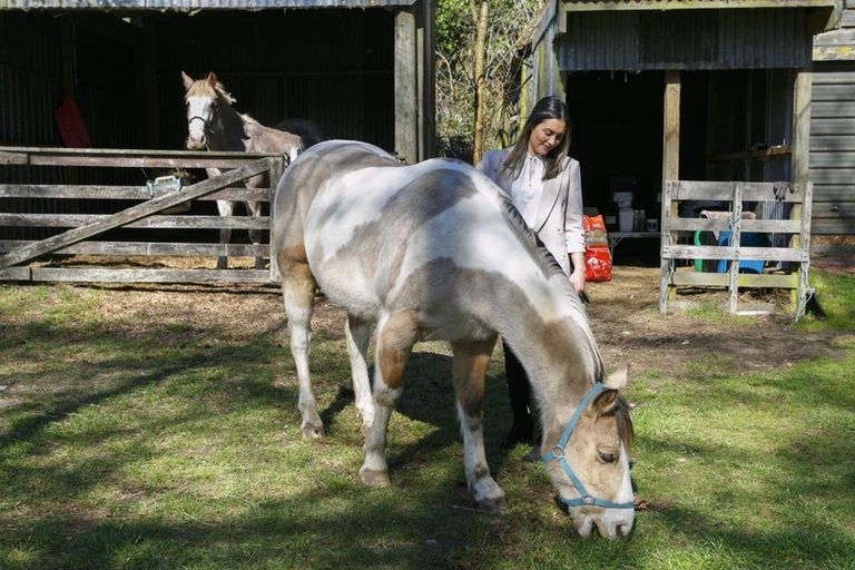 Photo of property in 620 Oruanui Road, Oruanui, Taupo, 3384