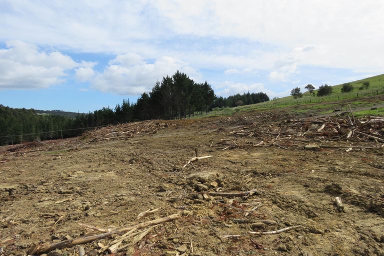 Photo of property in 59 Harbour View Rise, Mangonui, 0494