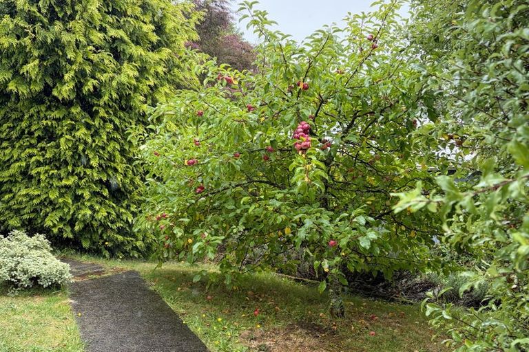 Photo of property in 8 Arrow Street, Washington Valley, Nelson, 7010