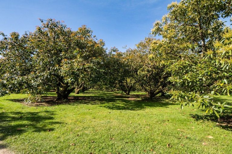 Photo of property in 85 Wharawhara Road, Tahawai, Katikati, 3178