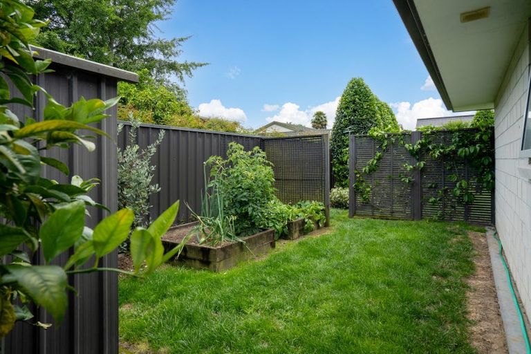 Photo of property in 4 Dick Street, Cambridge, 3434