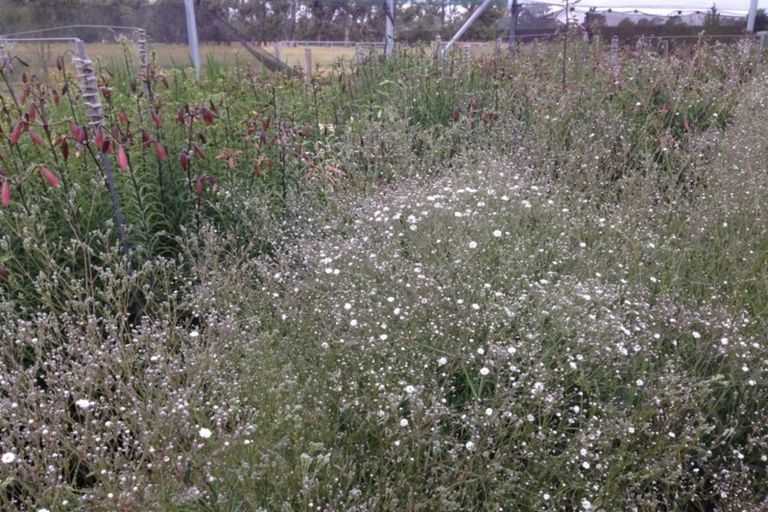 Photo of property in 94 Thews Road, Tinwald, Ashburton, 7778