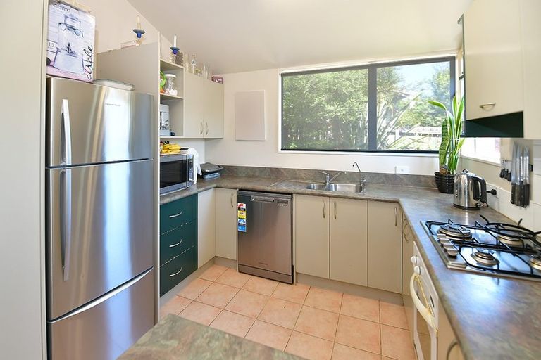 Photo of property in 19 Nelson Street, Helensville, 0800