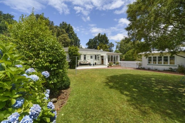 Photo of property in 84 Lincoln Street, Ashhurst, 4810