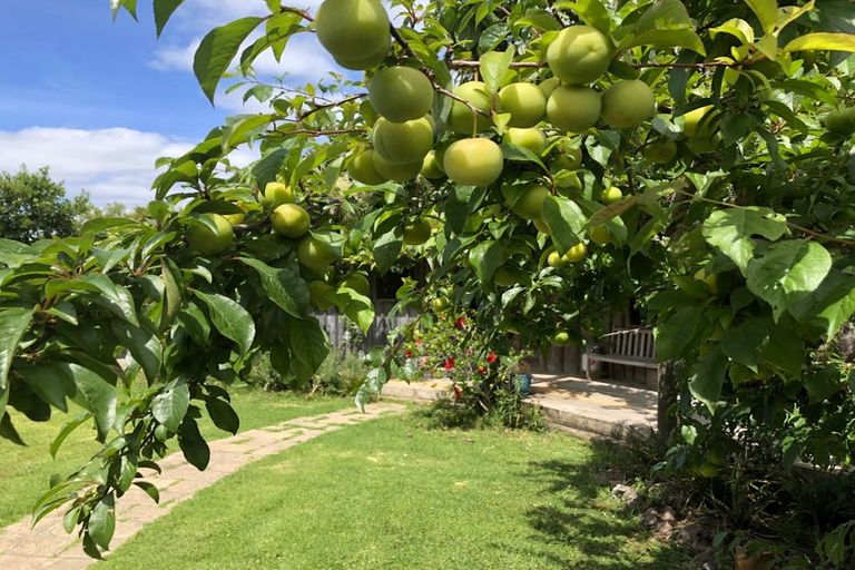 Photo of property in 1212 Whangarei Heads Road, Parua Bay, Whangarei, 0174