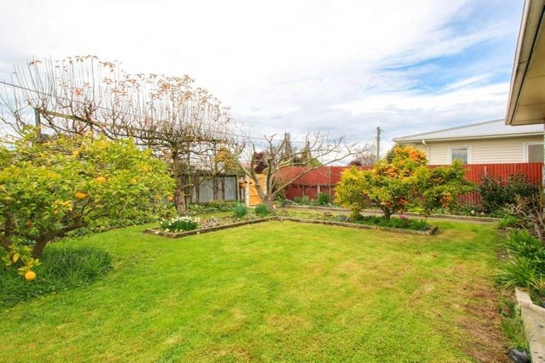 Photo of property in 220 Lumsden Place, Akina, Hastings, 4122