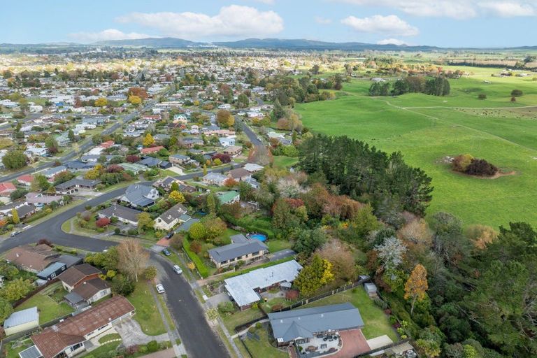 Photo of property in 38 Cullen Crescent, Tokoroa, 3420