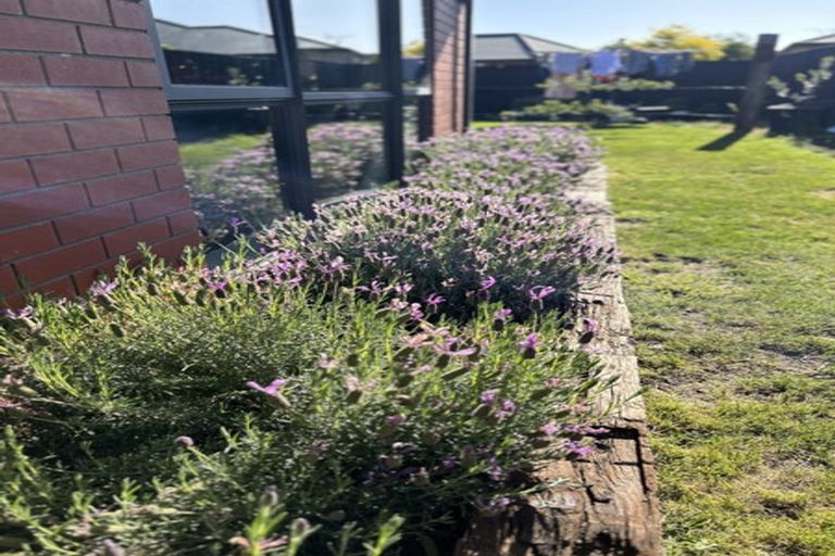 Photo of property in 6 Hampstead Close, Rangiora, 7400