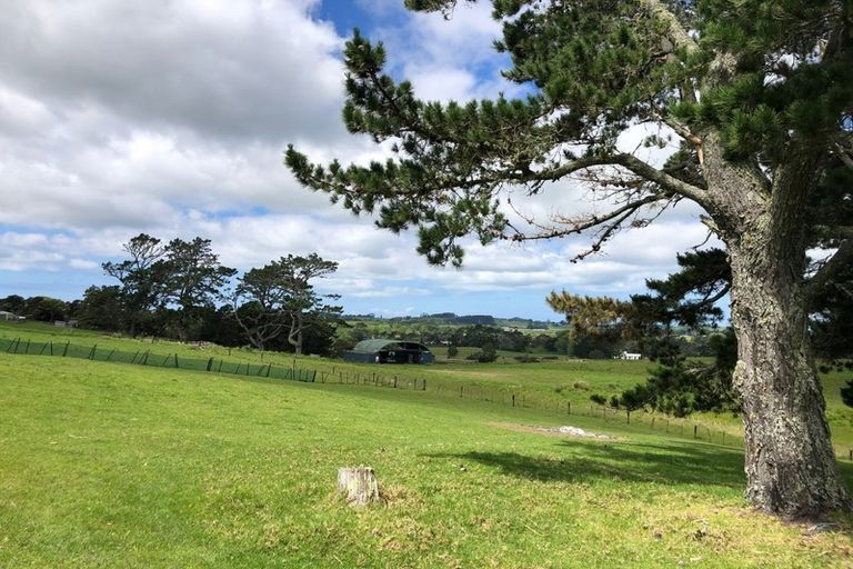 Photo of property in 115 Horseshoe Bush Road, Dairy Flat, Albany, 0794