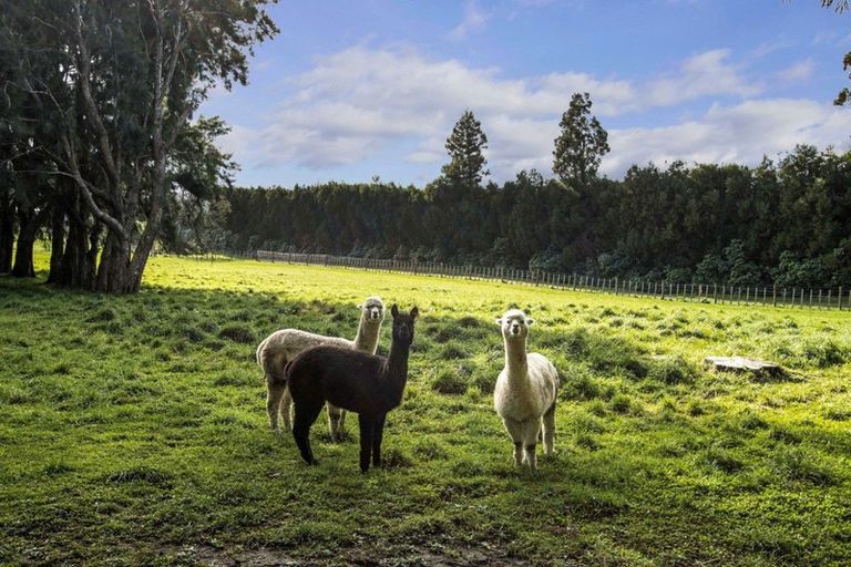 Photo of property in 243a Landlyst Road, Waihi, 3681