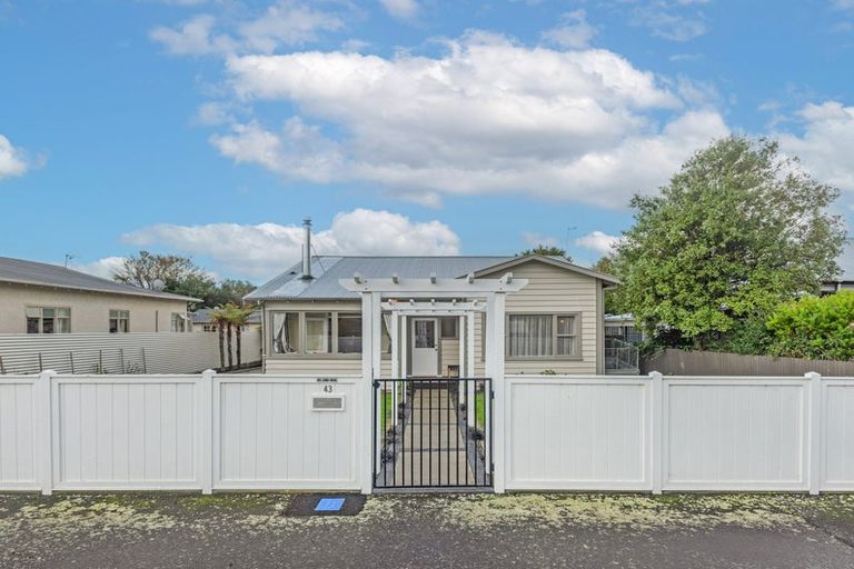 Photo of property in 43 Knowles Street, Terrace End, Palmerston North, 4410