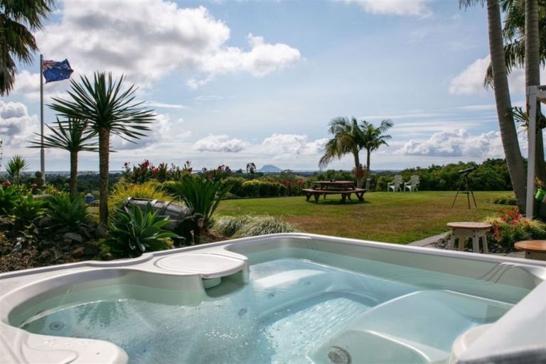 Photo of property in 56 Plummer Road, Whakamarama, Tauranga, 3179