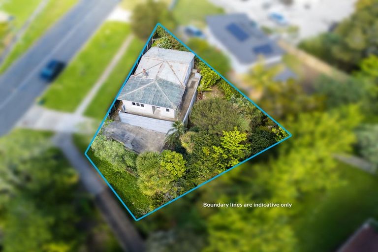 Photo of property in 101 Seabrook Avenue, New Lynn, Auckland, 0600