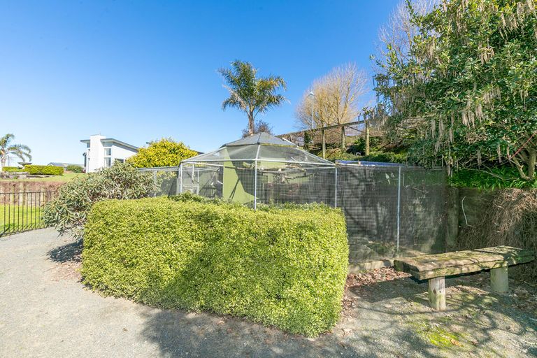 Photo of property in 53 Matai Road, Matamata, 3472