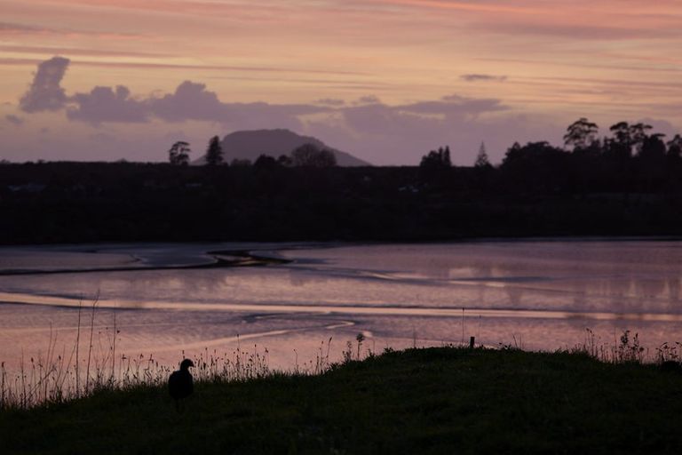 Photo of property in 23 Snapper Crescent, Omokoroa, 3114