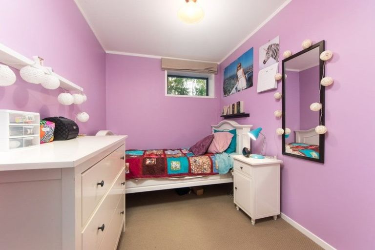 Photo of property in 60 Alton Avenue, Hillcrest, Auckland, 0627