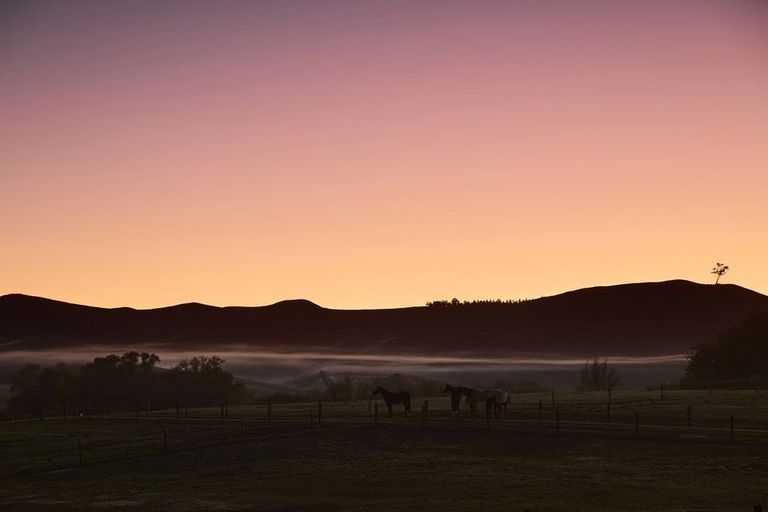 Photo of property in 1549 Raukawa Road, Raukawa, Hastings, 4174