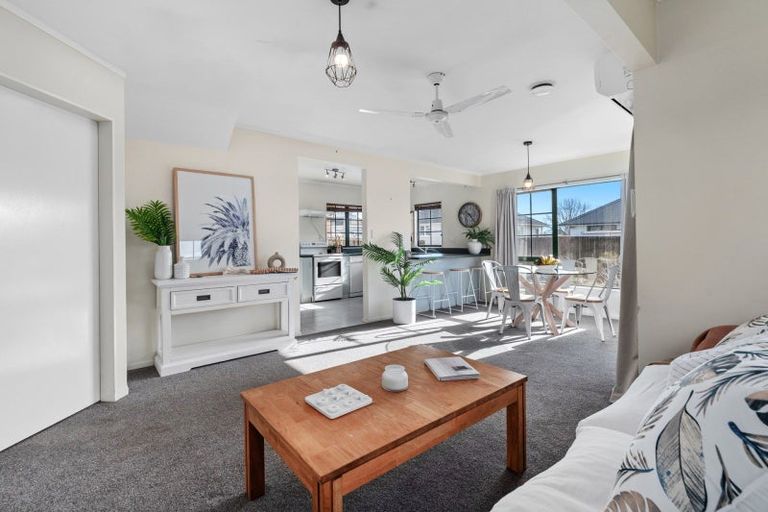 Photo of property in 19 Cook Street, Gate Pa, Tauranga, 3112