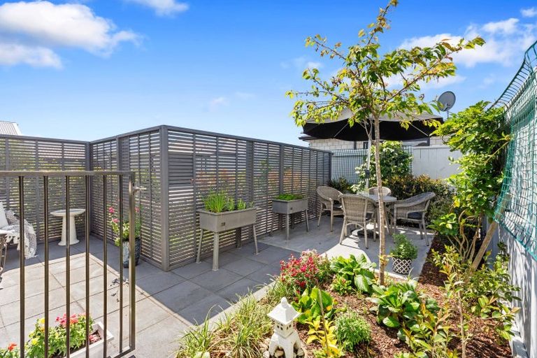 Photo of property in 14 Foley Grove, Pyes Pa, Tauranga, 3110