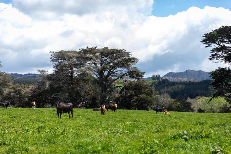 Photo of property in 100 Franklin Road, Waihi, 3682