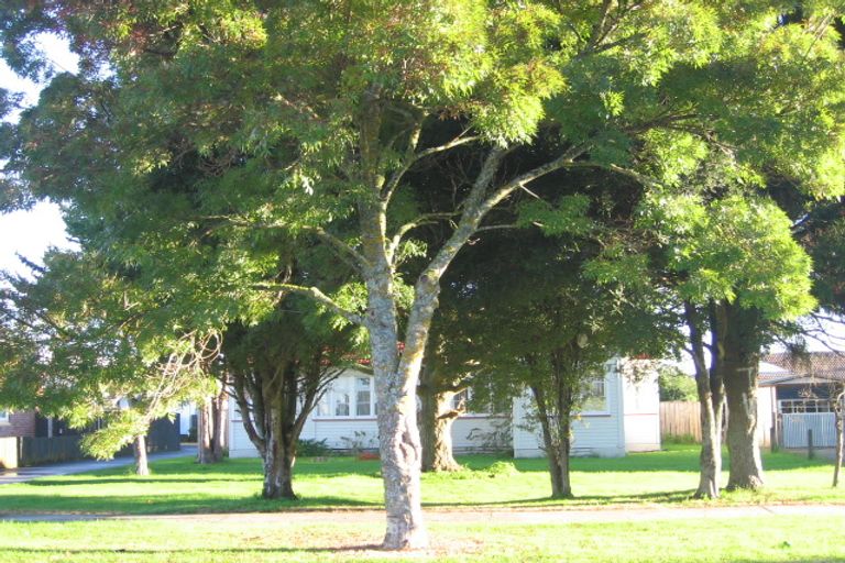 Photo of property in 15b Avis Avenue, Papatoetoe, Auckland, 2025