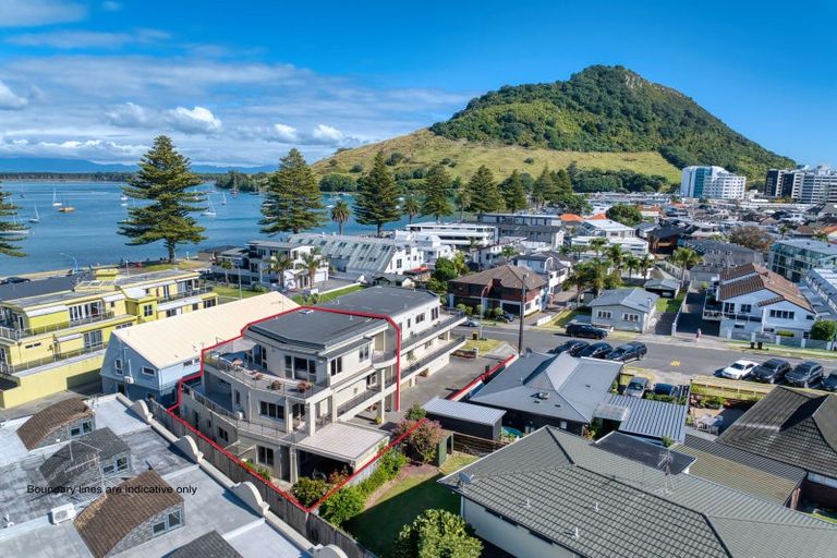 Photo of property in 8b Pacific Avenue, Mount Maunganui, 3116
