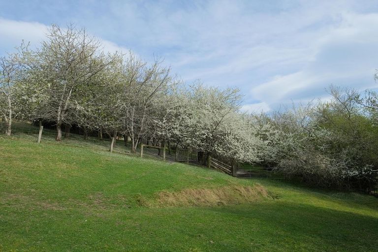 Photo of property in 317 Chain Hills Road, Chain Hills, Dunedin, 9076