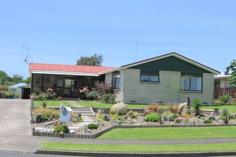 Photo of property in 20 Glendon Place, Otorohanga, 3900