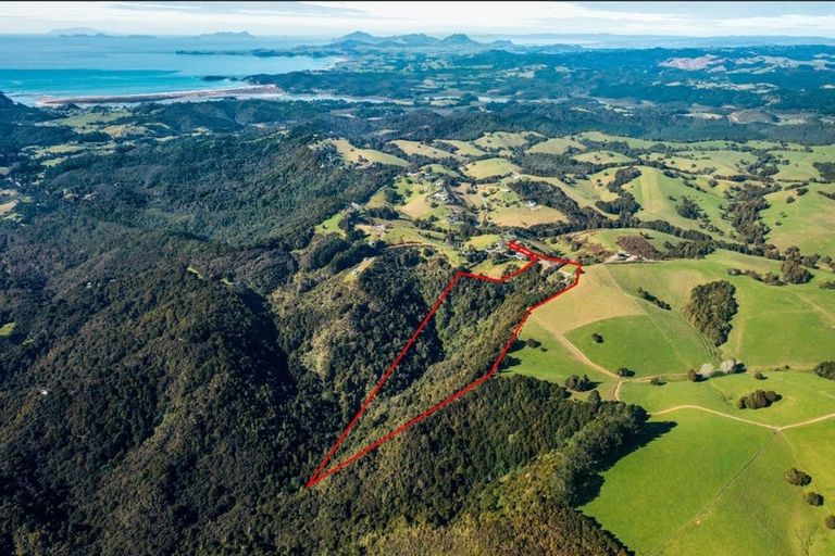 Photo of property in 98 Kiwi Bush Lane, Ngunguru, Whangarei, 0173