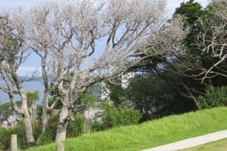 Photo of property in 25 Wonderview Road, Leigh, 0985