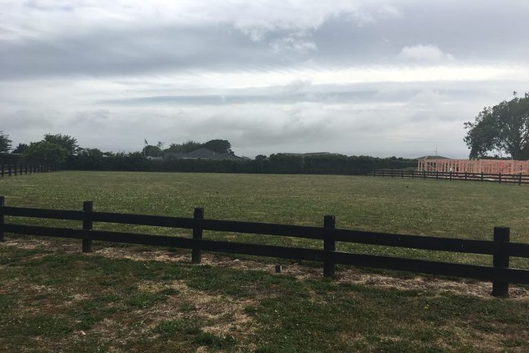 Photo of property in 19 Eldonwood Drive, Matamata, 3400