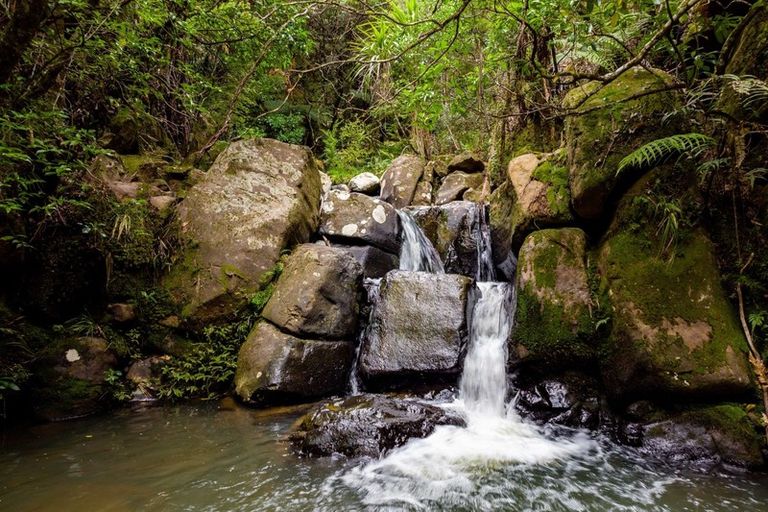 Photo of property in 6754 State Highway 12, Waimamaku, Kaikohe, 0473