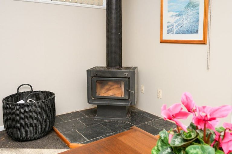 Photo of property in 113 Long Melford Road, Awapuni, Palmerston North, 4412