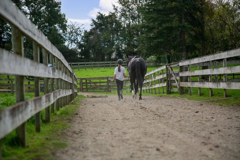 Photo of property in 1032 Tauwhare Road, Tauwhare, Hamilton, 3287