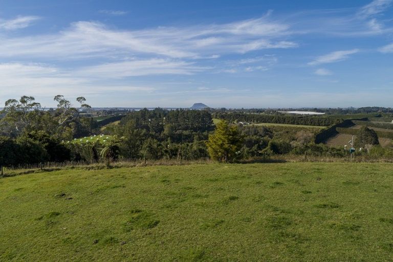 Photo of property in 198b Snodgrass Road, Te Puna, Whakamarama, 3174