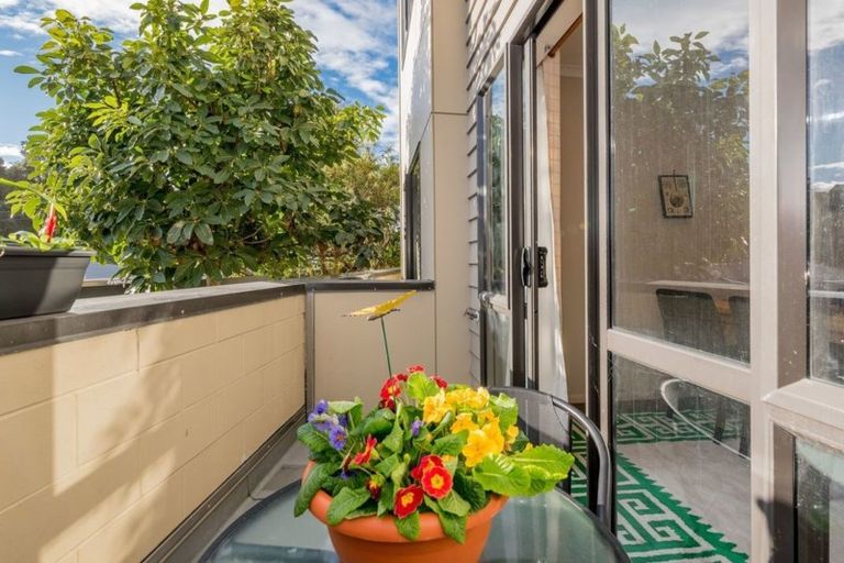 Photo of property in Te Kakariki Apartments, 3/8 Wellington Road, Paekakariki, 5034