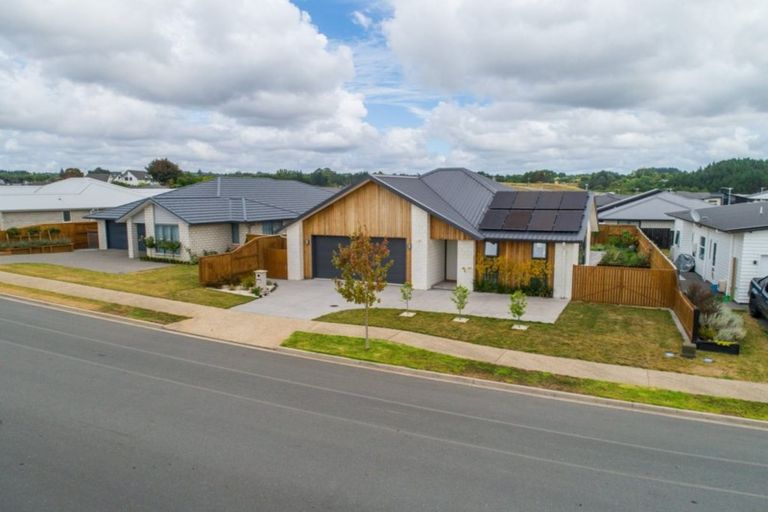 Photo of property in 82f Verbena Road, Birkdale, Auckland, 0626