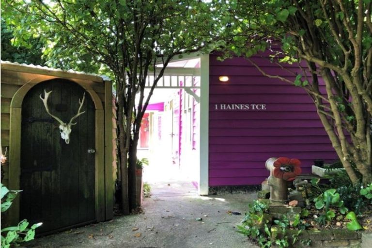 Photo of property in 1 Haines Terrace, Aro Valley, Wellington, 6021